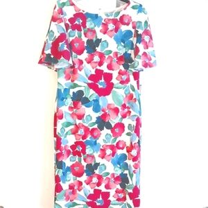 Kasper "Lily" Bold Floral Dress in Size 8 (NWT)